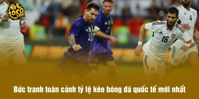 Bức tranh toàn cảnh tỷ lệ kèo bóng đá quốc tế mới nhất