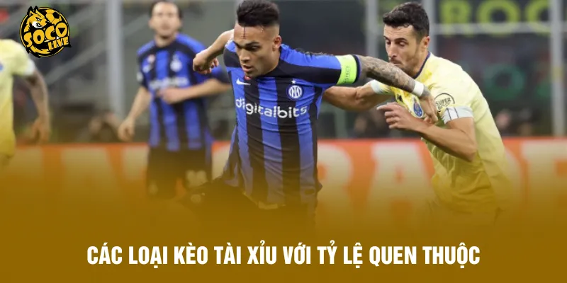 Các loại kèo tài xỉu với tỷ lệ quen thuộc