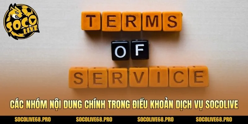 Các nhóm nội dung chính trong điều khoản dịch vụ Socolive
