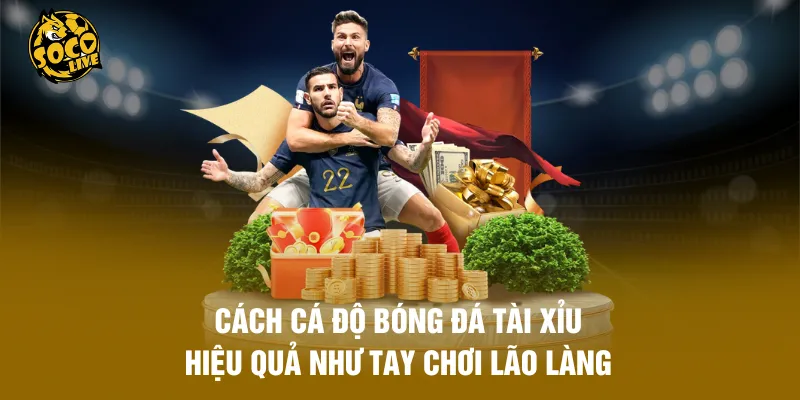 Cách Cá Độ Bóng Đá Tài Xỉu Hiệu Quả Như Tay Chơi Lão Làng