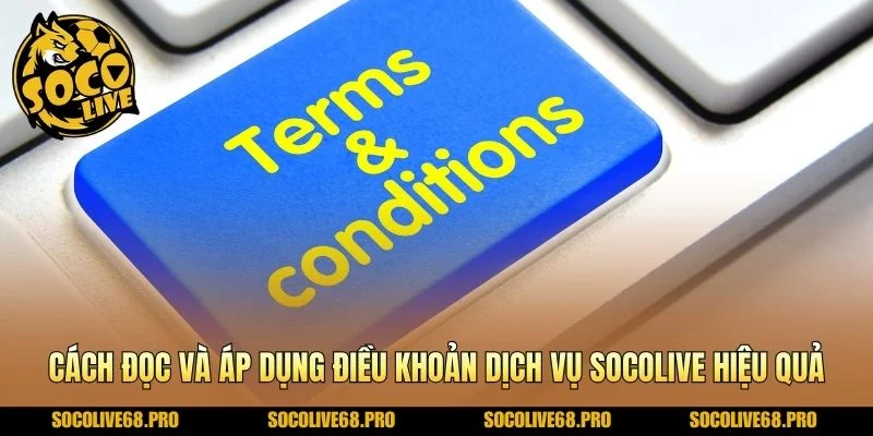 Cách đọc và áp dụng điều khoản dịch vụ Socolive hiệu quả