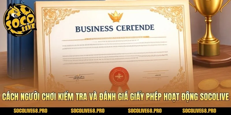 Cách người chơi kiểm tra và đánh giá giấy phép hoạt động Socolive