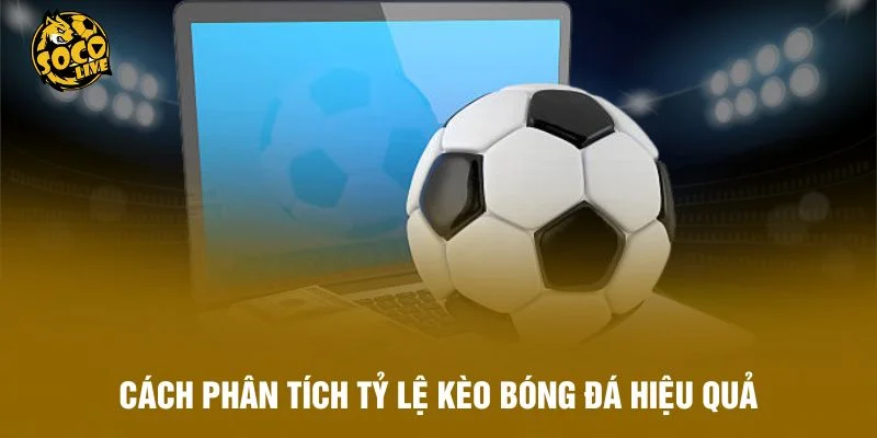 Cách Phân Tích Tỷ Lệ Kèo Bóng Đá Hiệu Quả Chuẩn Nhất