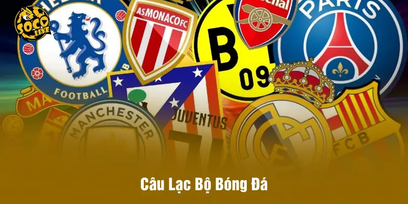 Câu Lạc Bộ Bóng Đá - Giá Trị Và Biểu Tượng Toàn Cầu Năm 2026