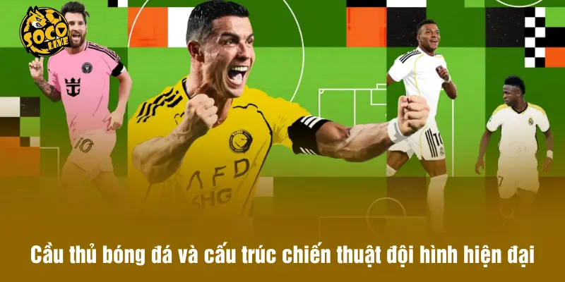 Cầu thủ bóng đá và cấu trúc chiến thuật đội hình hiện đại