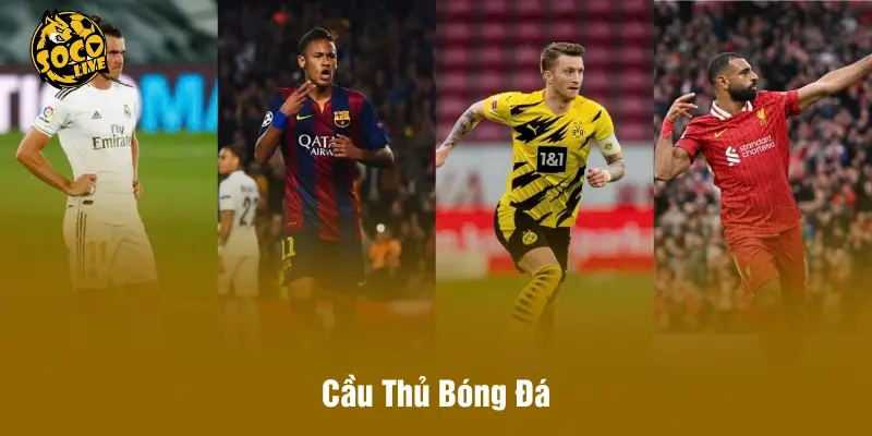 Cầu Thủ Bóng Đá - SOCOLIVE Tổng Hợp Liệu Thời Đại Mới 2026