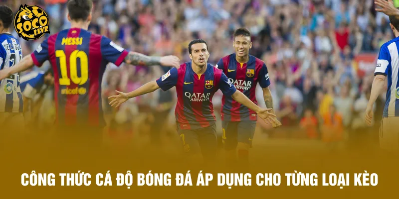 Công thức cá độ bóng đá áp dụng cho từng loại kèo