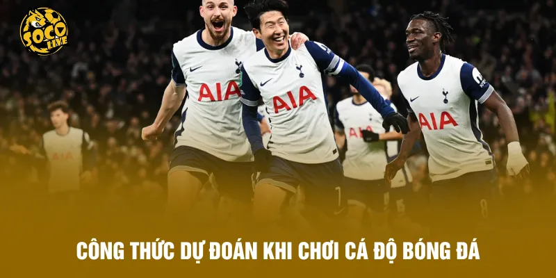 Công thức dự đoán khi chơi cá độ bóng đá