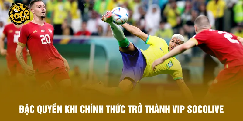 Đặc quyền khi chính thức trở thành VIP Socolive
