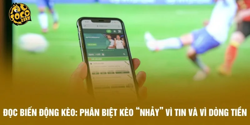 Đọc biến động kèo: phân biệt kèo “nhảy” vì tin và vì dòng tiền