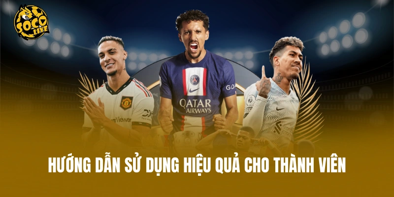 Hướng dẫn sử dụng hiệu quả cho thành viên