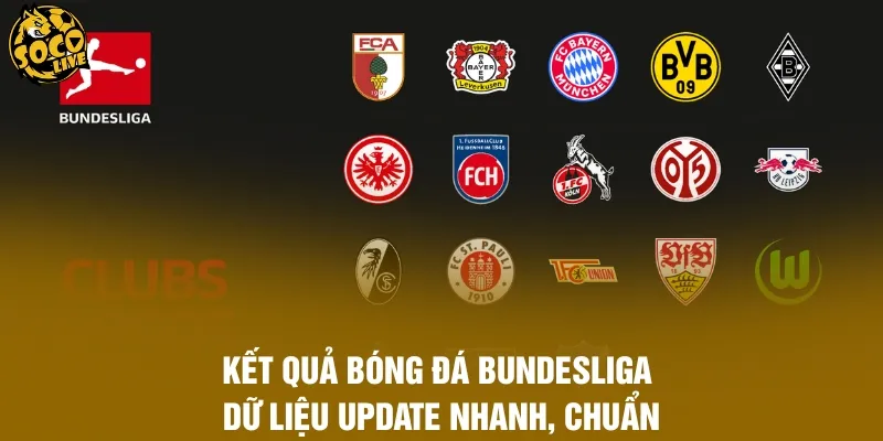 Kết Quả Bóng Đá Bundesliga - Dữ Liệu Update Nhanh, Chuẩn
