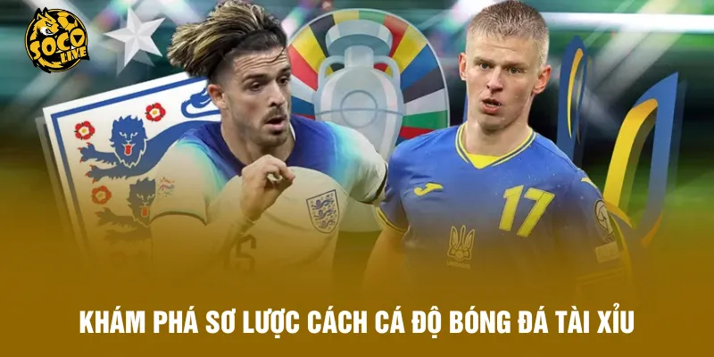 Khám phá sơ lược cách cá độ bóng đá tài xỉu