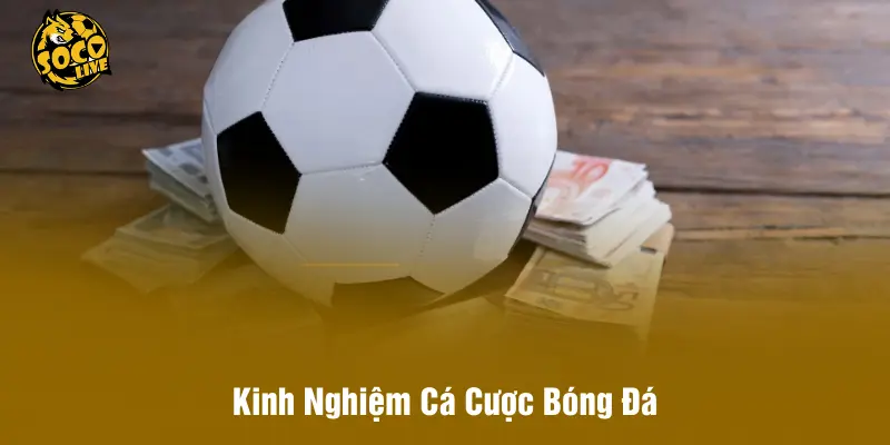 Kinh Nghiệm Cá Cược Bóng Đá - Tư Duy & Chiến Lược Hiện Đại