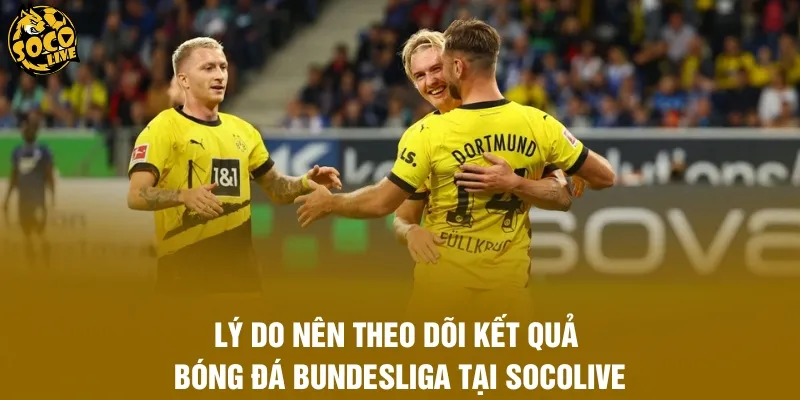 Lý do nên theo dõi kết quả bóng đá Bundesliga tại Socolive