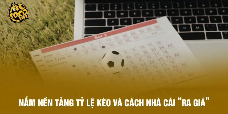Nắm nền tảng tỷ lệ kèo và cách nhà cái “ra giá”