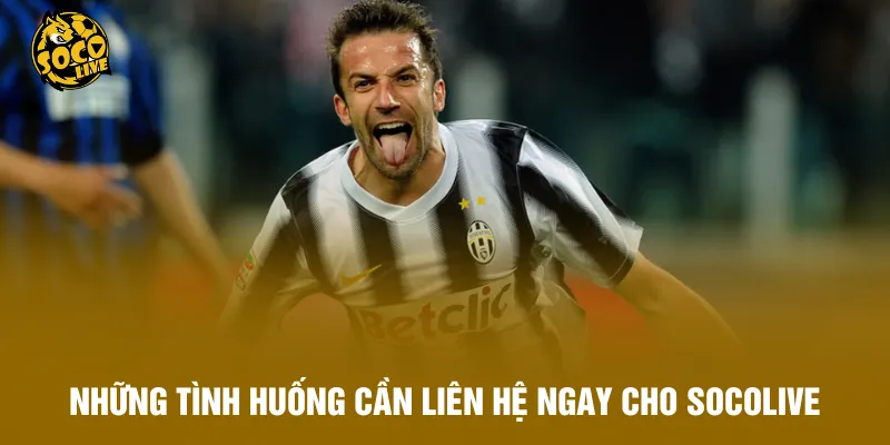 Những tình huống cần liên hệ ngay cho Socolive