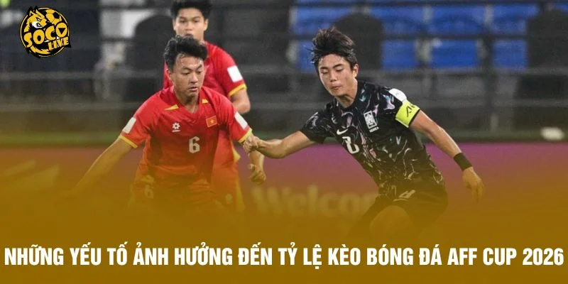 Những yếu tố ảnh hưởng đến tỷ lệ kèo bóng đá AFF Cup 2025