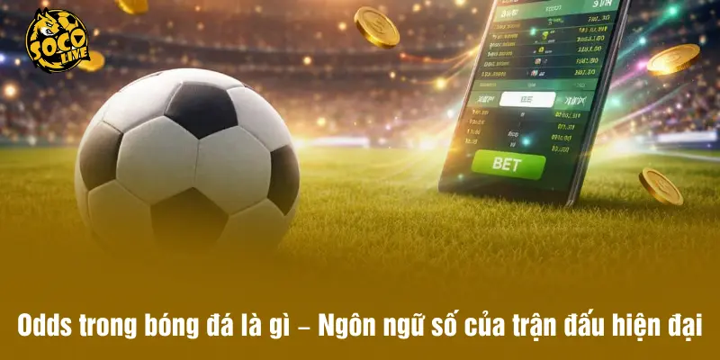 Odds trong bóng đá là gì – Ngôn ngữ số của trận đấu hiện đại
