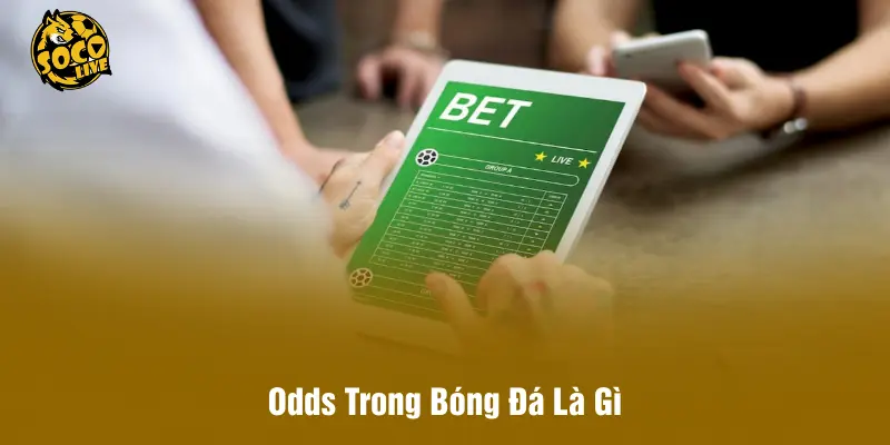 Odds Trong Bóng Đá Là Gì – Giải Mã Ngôn Ngữ Số Trận Đấu
