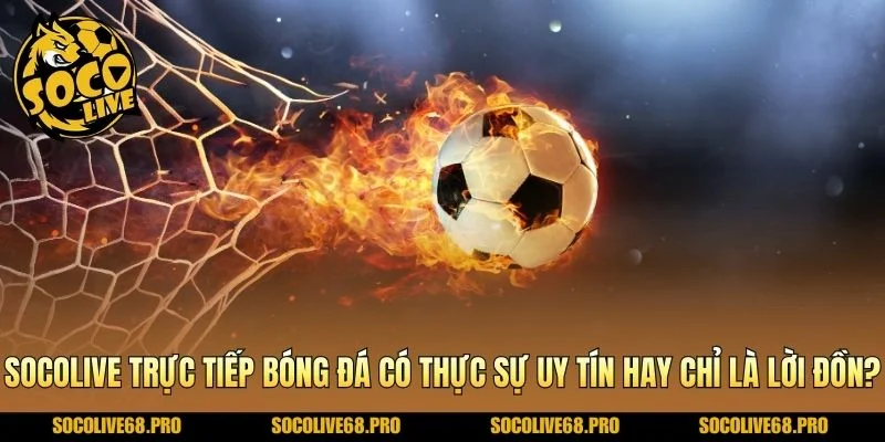 Socolive trực tiếp bóng đá có thực sự uy tín hay chỉ là lời đồn?