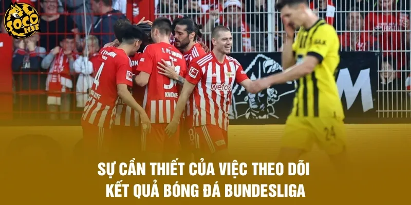 Sự cần thiết của việc theo dõi kết quả bóng đá Bundesliga