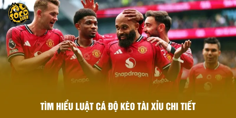 Tìm hiểu luật cá độ kèo tài xỉu chi tiết