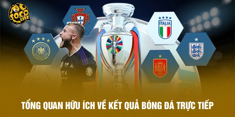 Tổng quan hữu ích về kết quả bóng đá trực tiếp