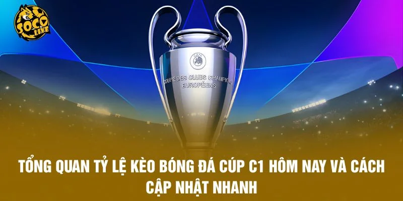 Tổng quan tỷ lệ kèo bóng đá Cúp C1 hôm nay và cách cập nhật nhanh