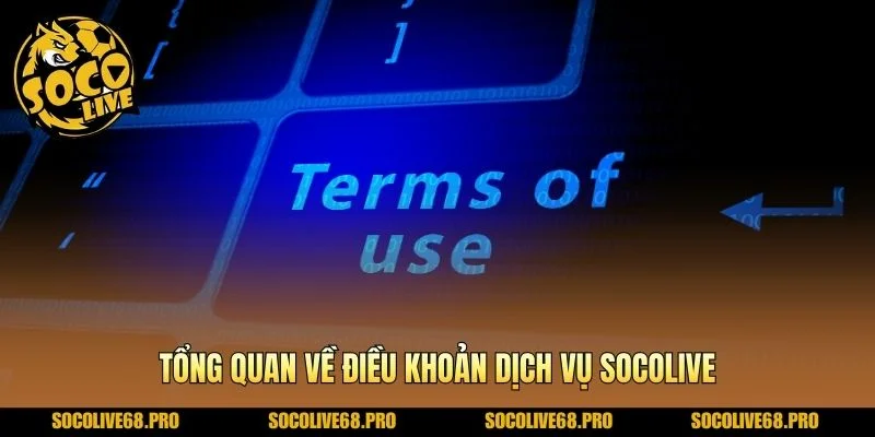 Tổng quan về điều khoản dịch vụ Socolive
