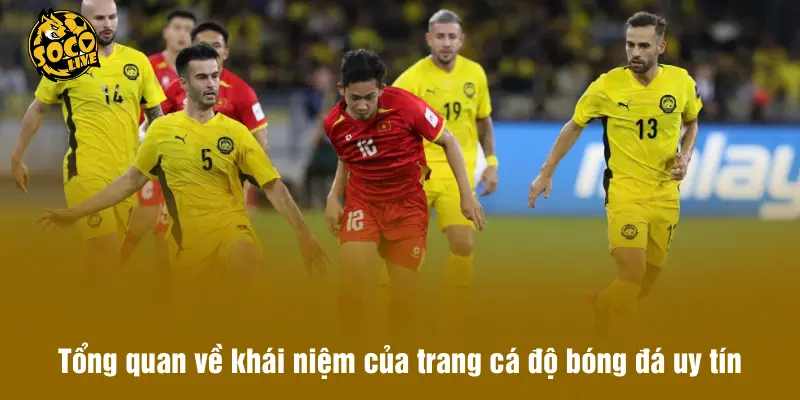 Tổng quan về khái niệm của trang cá độ bóng đá uy tín