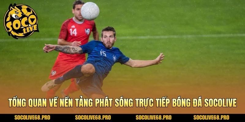 Tổng quan về nền tảng phát sóng trực tiếp bóng đá Socolive