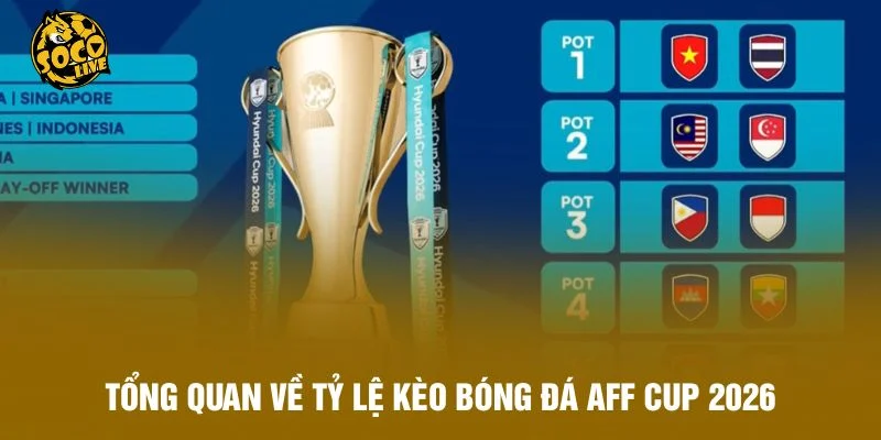 Tổng quan về tỷ lệ kèo bóng đá AFF Cup 2025