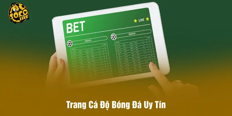 Trang Cá Độ Bóng Đá Uy Tín - Hiểu Rõ Để Bảo Vệ Bản Thân