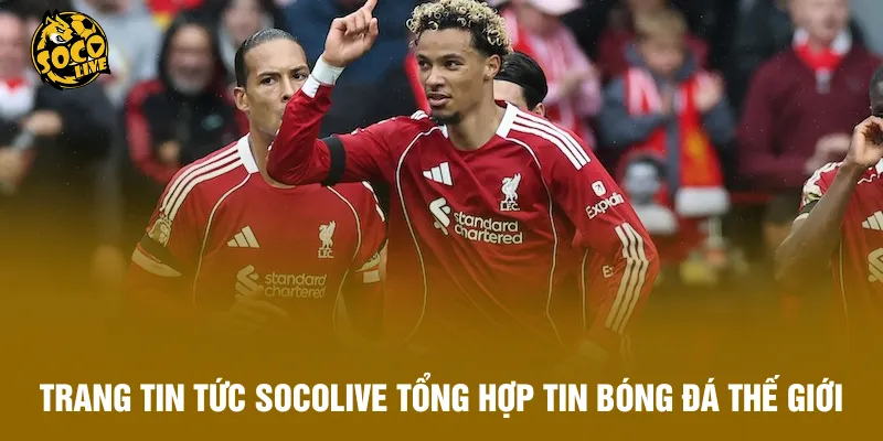 Trang tin tức Socolive tổng hợp tin bóng đá khắp thế giới