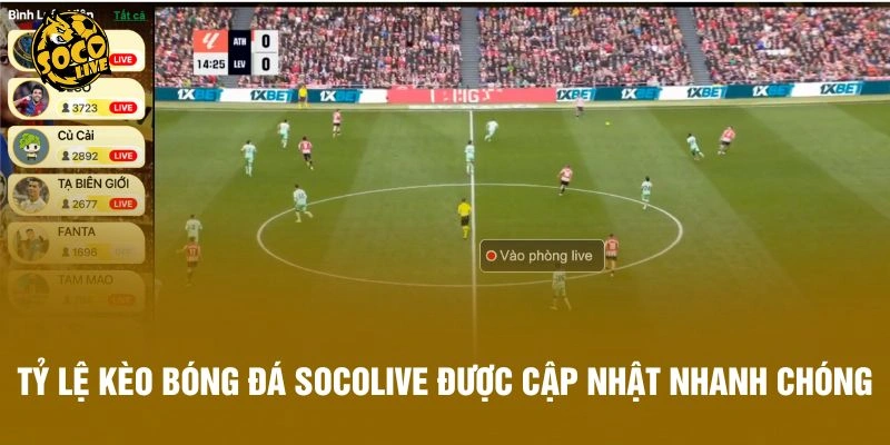 Tỷ lệ kèo bóng đá Socolive được cập nhật nhanh chóng