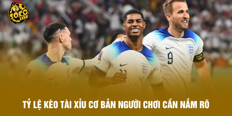 Tỷ lệ kèo tài xỉu cơ bản người chơi cần nắm rõ