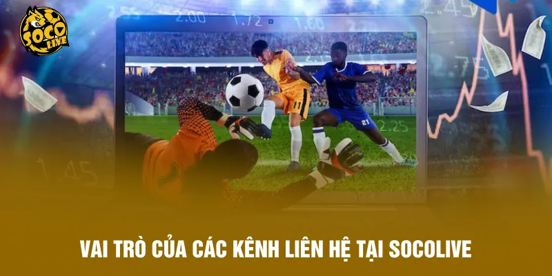 Vai trò của các kênh liên hệ tại Socolive