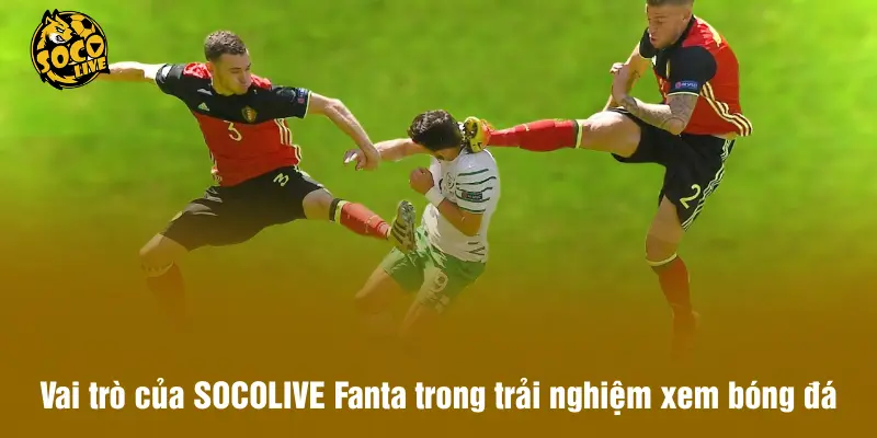 Vai trò của SOCOLIVE Fanta trong trải nghiệm xem bóng đá