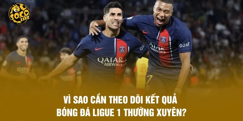 Vì sao cần theo dõi kết quả bóng đá Ligue 1 thường xuyên?