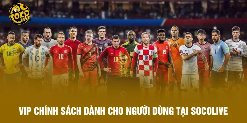VIP chính sách dành cho người dùng tại Socolive