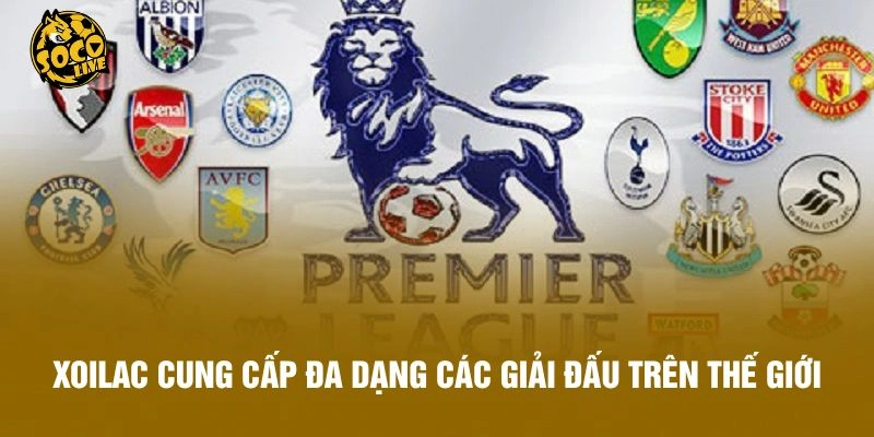 Xoilac cung cấp đa dạng các giải đấu trên thế giới
